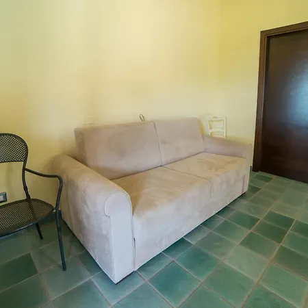 Ara *